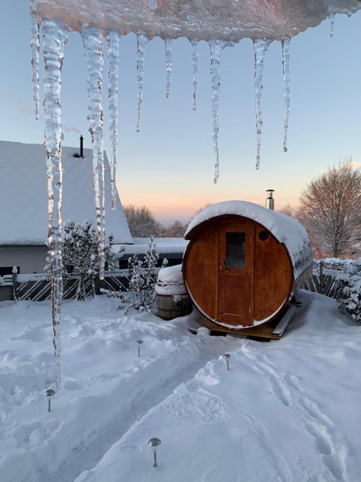 Villa Blockhaus Im Sueden Deutschlands à Höchenschwand Extérieur photo